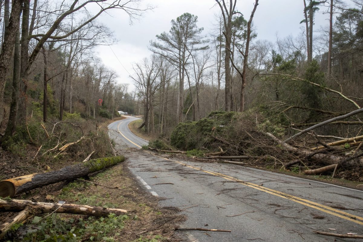 Downed trees and limbs along a wooded hill road after a storm